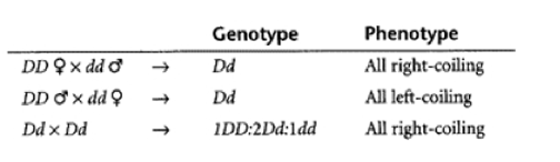 genetics of coiling